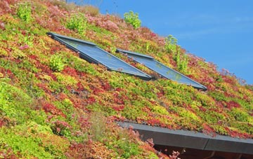 Cardenden living roof systems