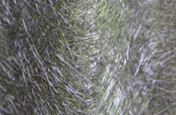 Cardenden fibreglass roof work